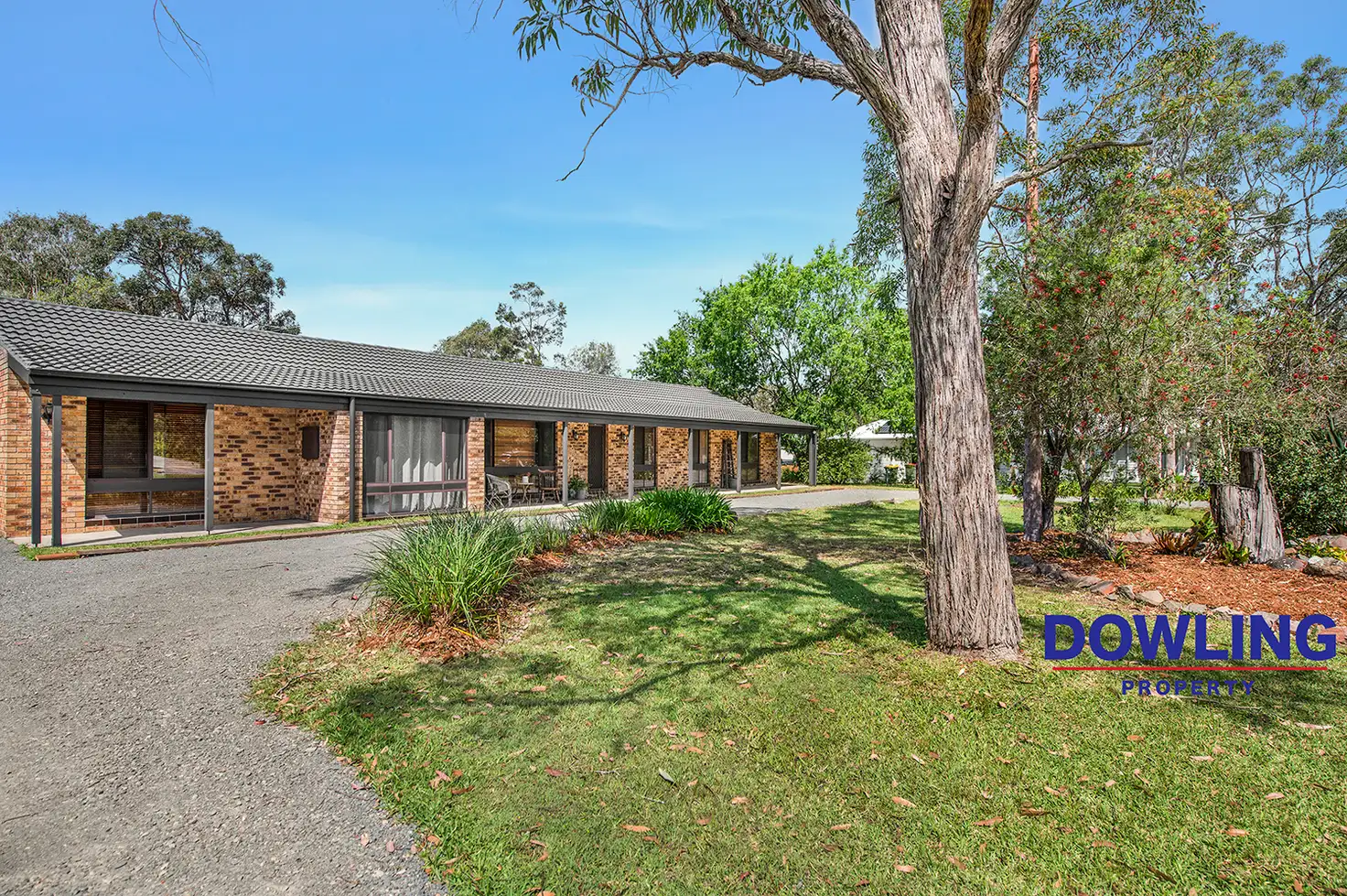 Main view of Homely house listing, 12 Ryan Road, Medowie NSW 2318