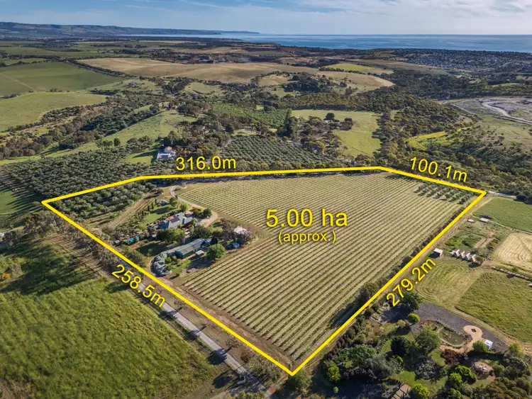 Sixth view of Homely house listing, 67 Hagley Road, Mclaren Vale SA 5171