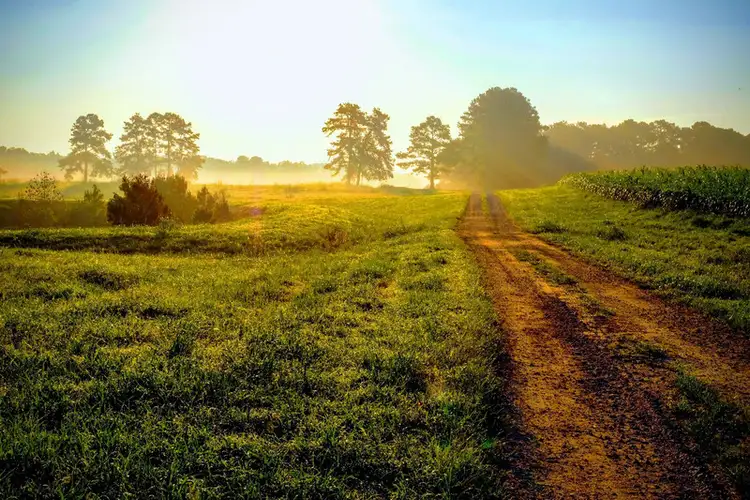 LOT Lot 108, 31 Harkness Road, Oakville NSW 2765