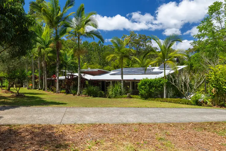 Third view of Homely rural property listing, 650 Diddillibah Road, Diddillibah QLD 4559