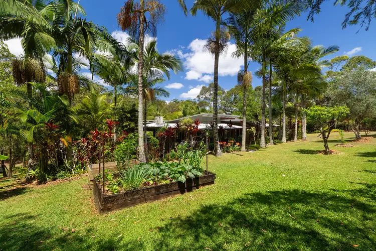 Fifth view of Homely rural property listing, 650 Diddillibah Road, Diddillibah QLD 4559