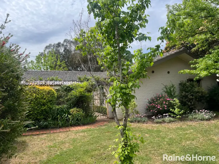 295 Back Creek Road, Young NSW 2594