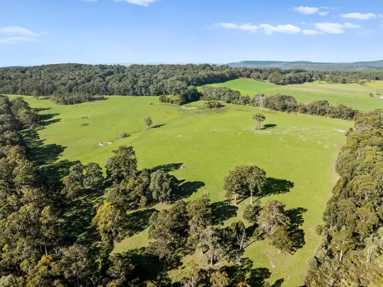 Fourth view of Homely rural property listing, 1028 Upper Boho Road, Boho South VIC 3669