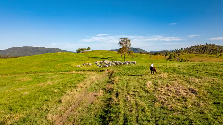 Fourth view of Homely land listing, 1890 Maleny - Kenilworth Road, Conondale QLD 4552