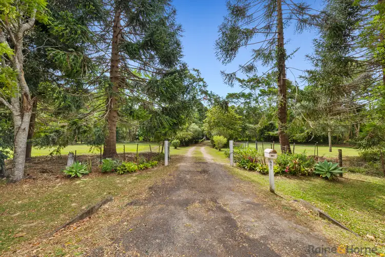 Second view of Homely rural property listing, 861 Cudgera Creek Road, Cudgera Creek NSW 2484