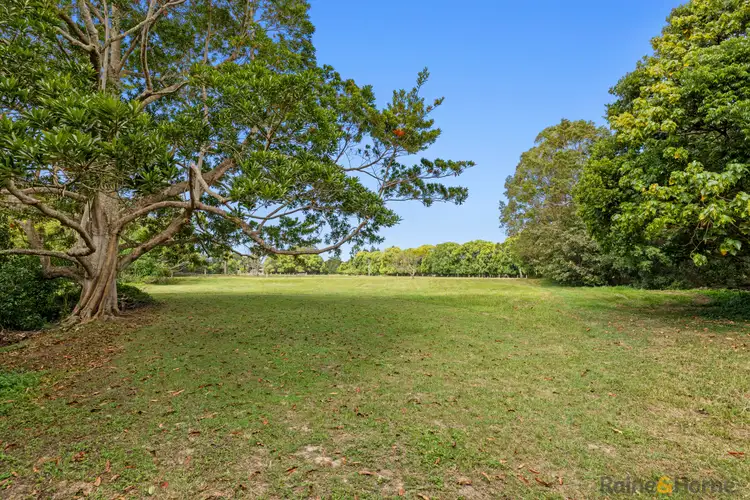 Third view of Homely rural property listing, 861 Cudgera Creek Road, Cudgera Creek NSW 2484