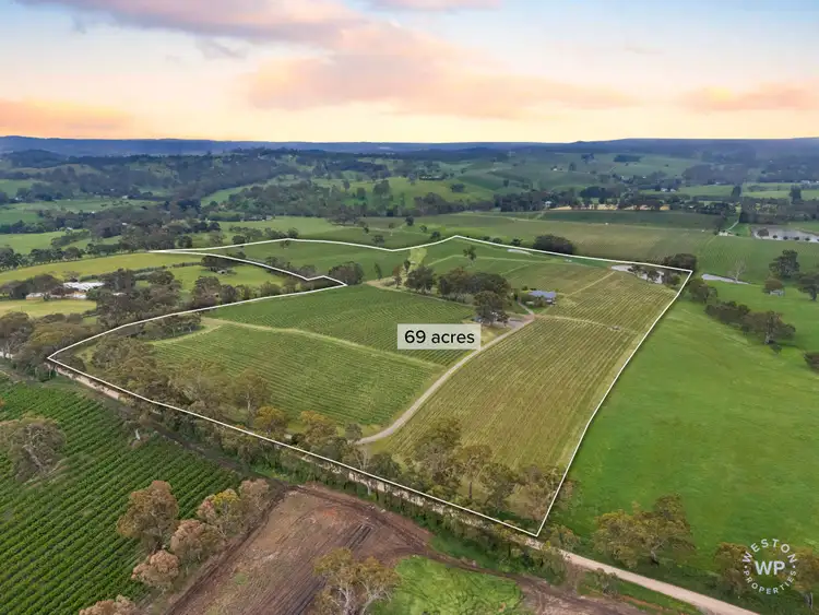 Second view of Homely rural property listing, 127 Quinns Road, Forreston SA 5233