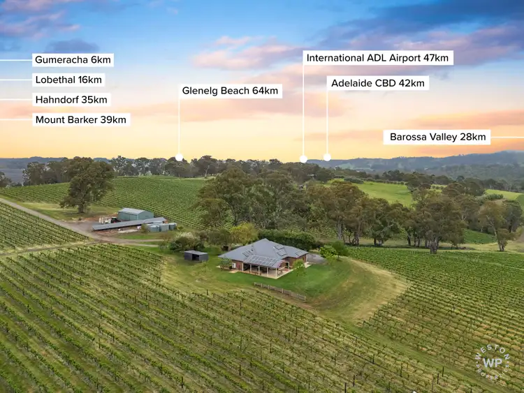 Third view of Homely rural property listing, 127 Quinns Road, Forreston SA 5233