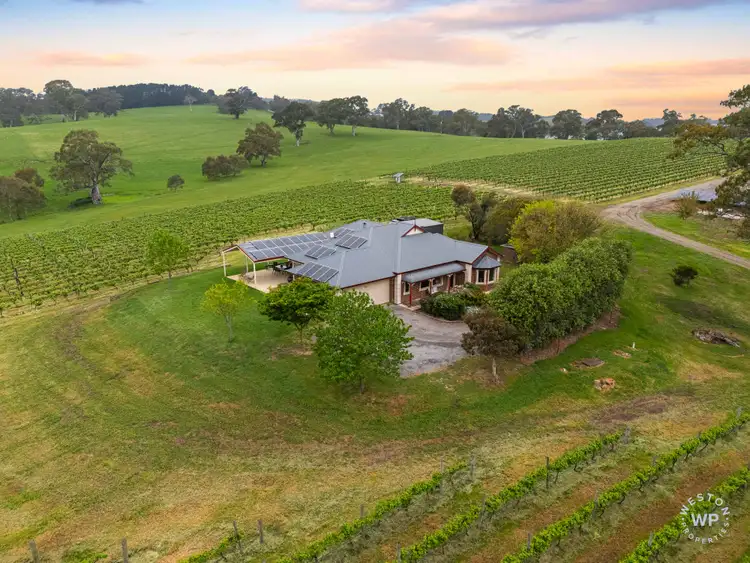 Fifth view of Homely rural property listing, 127 Quinns Road, Forreston SA 5233