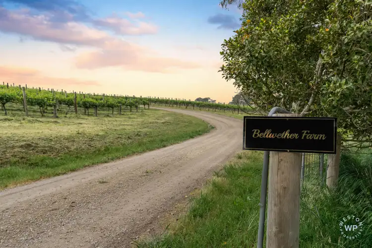 Sixth view of Homely rural property listing, 127 Quinns Road, Forreston SA 5233