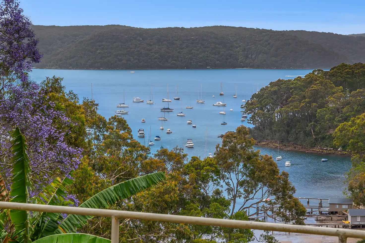 Main view of Homely house listing, 50 Herbert Avenue, Newport NSW 2106