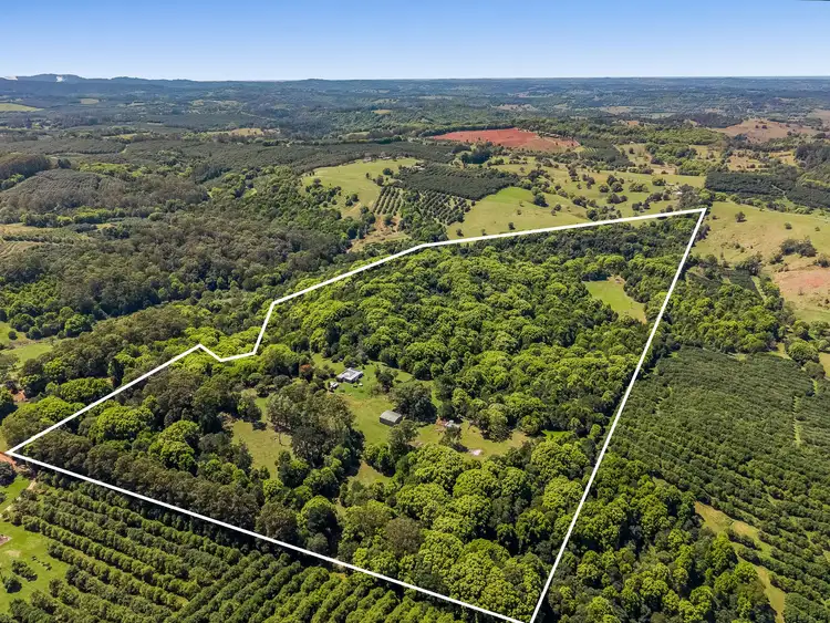 Sixth view of Homely house listing, 71 Numulgi Creek Road, Modanville NSW 2480