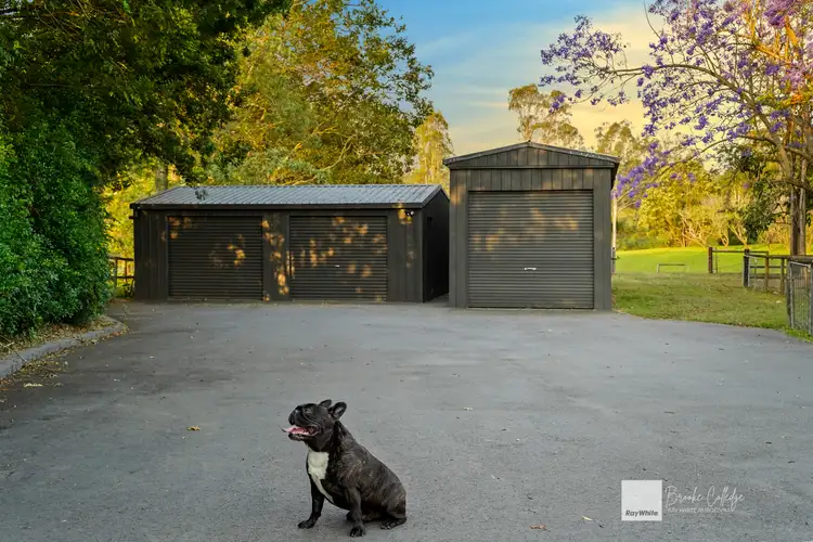 Second view of Homely house listing, 99 Couldery Court, Cedar Grove QLD 4285