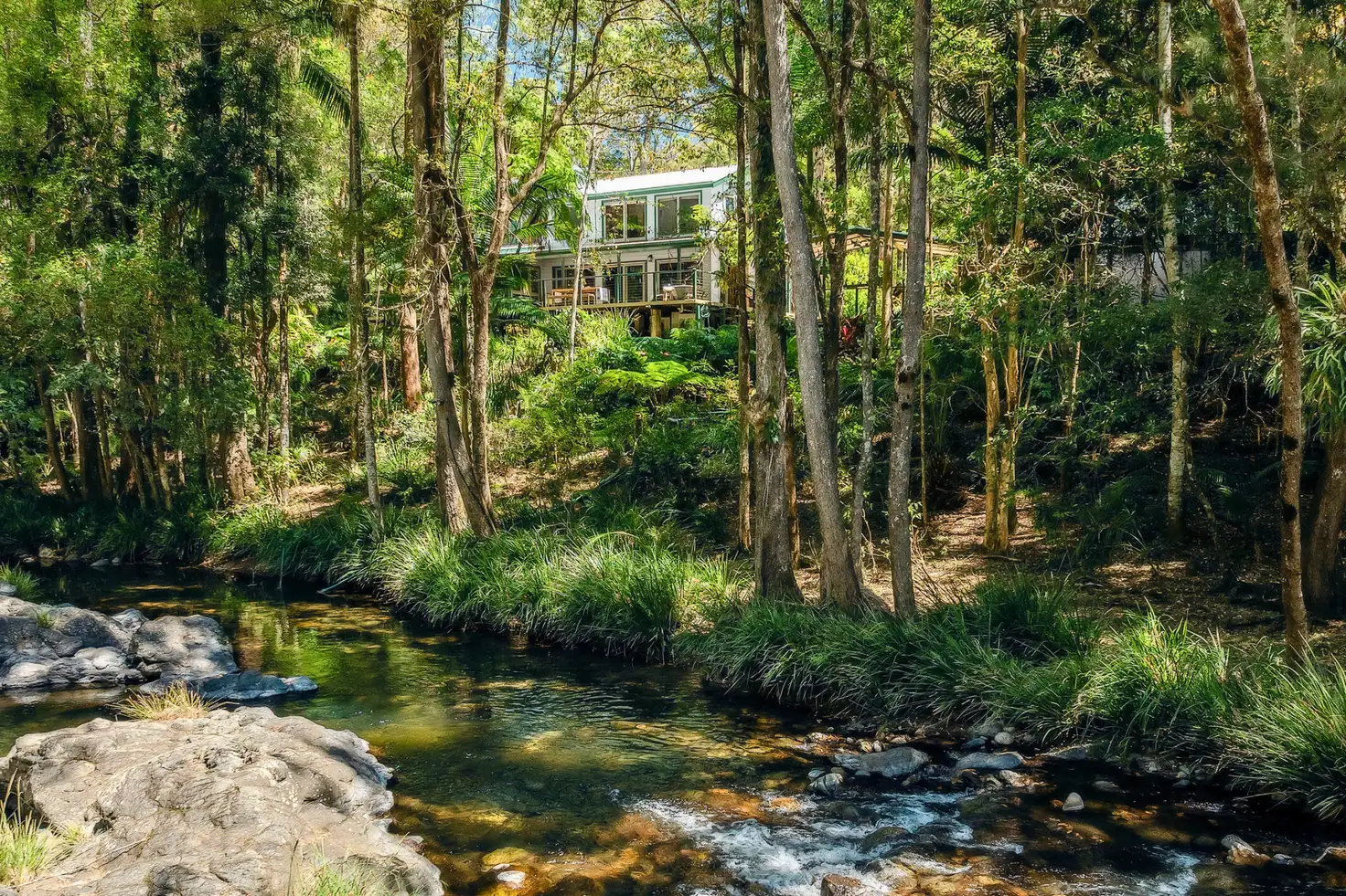 Main view of Homely house listing, 816 Summervilles Road, Bellingen NSW 2454