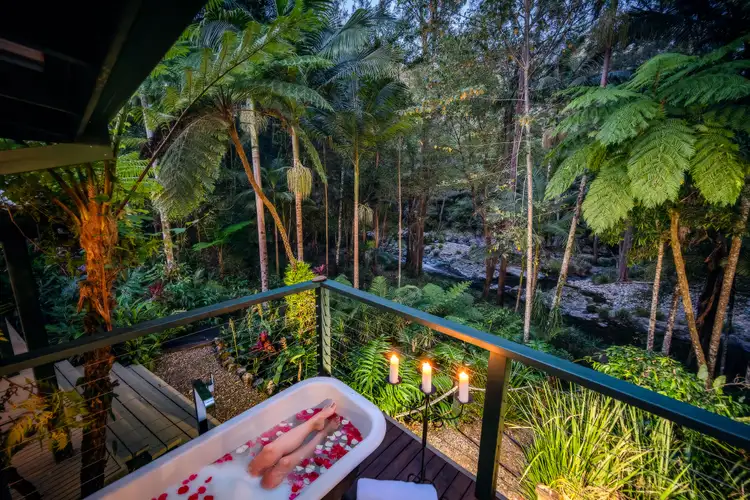 Second view of Homely house listing, 816 Summervilles Road, Bellingen NSW 2454