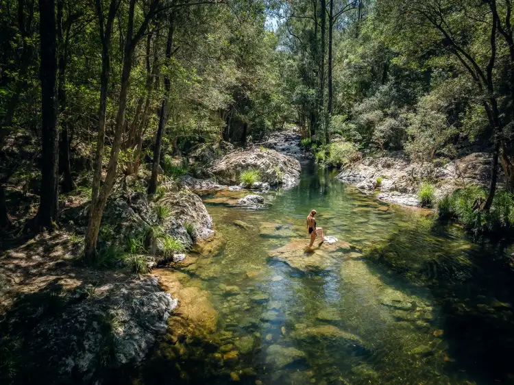 Fourth view of Homely house listing, 816 Summervilles Road, Bellingen NSW 2454