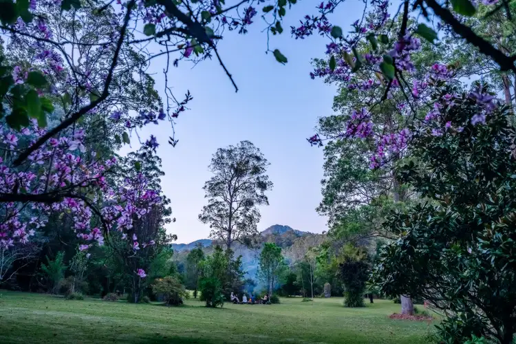 Sixth view of Homely house listing, 816 Summervilles Road, Bellingen NSW 2454