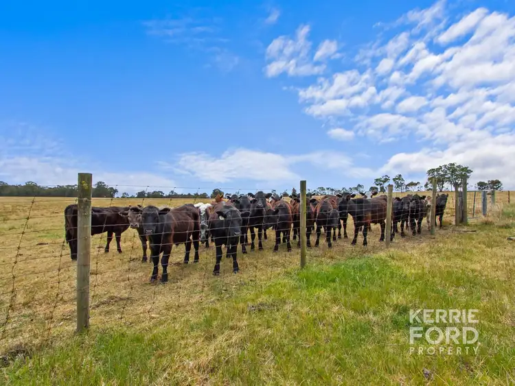 Fifth view of Homely land listing, LOT 2, 810 Tinamba Seaton Road, Tinamba VIC 3859