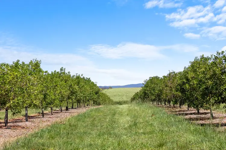 Fourth view of Homely rural property listing, 1255 Bulmers Road, Hogarth Range NSW 2469