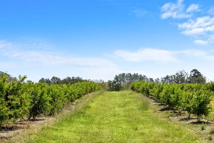 Seventh view of Homely rural property listing, 1255 Bulmers Road, Hogarth Range NSW 2469