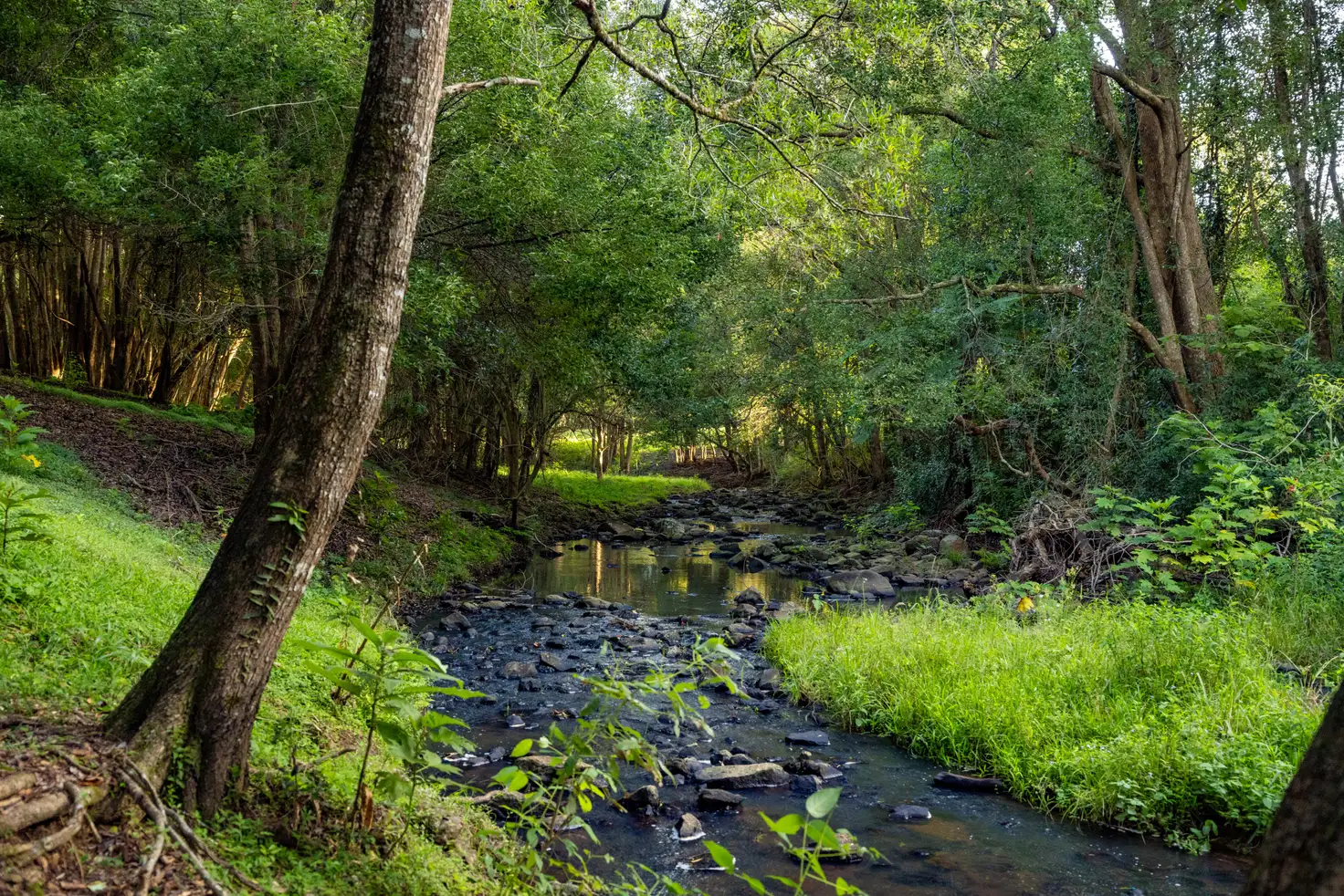 Main view of Homely house listing, 23 Ansell Road, Witta QLD 4552
