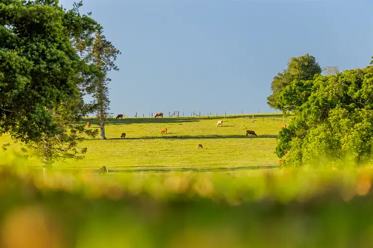 Third view of Homely house listing, 23 Ansell Road, Witta QLD 4552