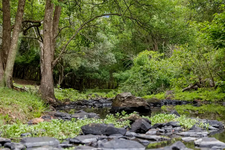 Fifth view of Homely house listing, 23 Ansell Road, Witta QLD 4552