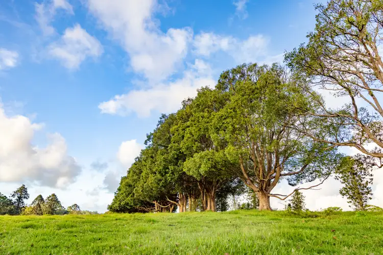 Sixth view of Homely house listing, 23 Ansell Road, Witta QLD 4552