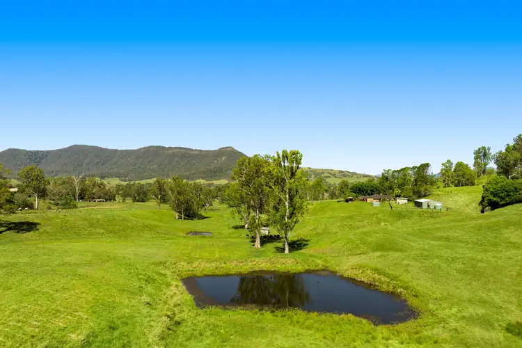 1255 Wiangaree Back Road, Kyogle NSW 2474