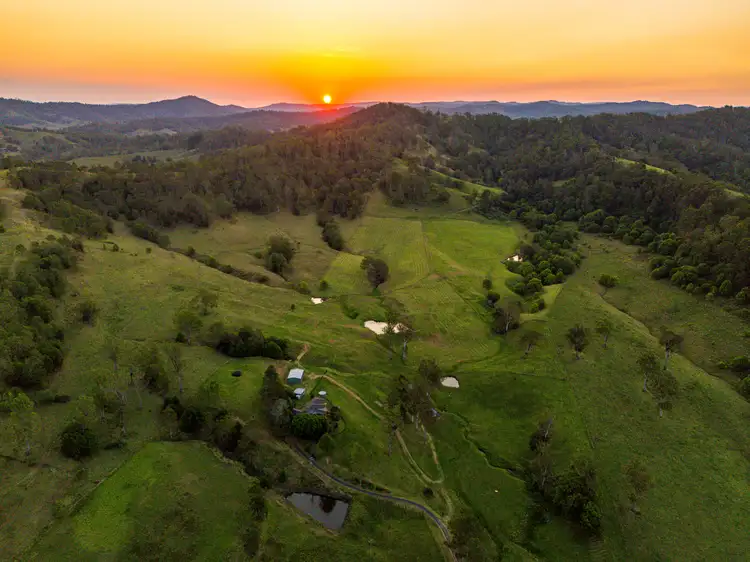 1255 Wiangaree Back Road, Kyogle NSW 2474