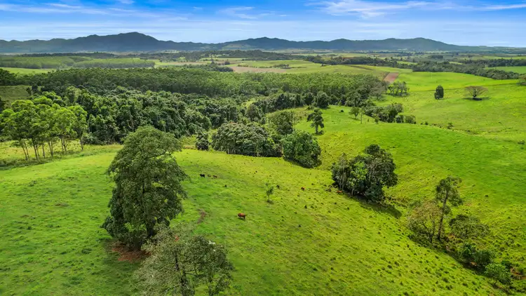 Lot 2/323 Hernon Road, Fitzgerald Creek QLD 4860