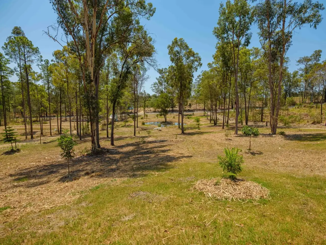 Main view of Homely land listing, Lot 638 Arbortwenty Two Road, Glenwood QLD 4570