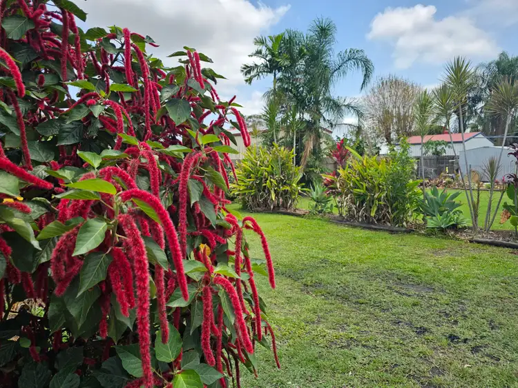 Second view of Homely unit listing, 5/9 Queen Street, Ayr QLD 4807