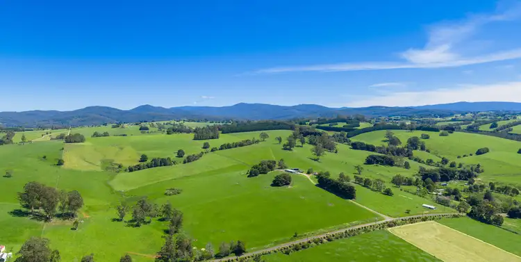 Second view of Homely rural property listing, 195 Sheffield Road, Neerim South VIC 3831