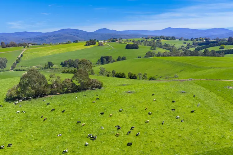 Third view of Homely rural property listing, 195 Sheffield Road, Neerim South VIC 3831