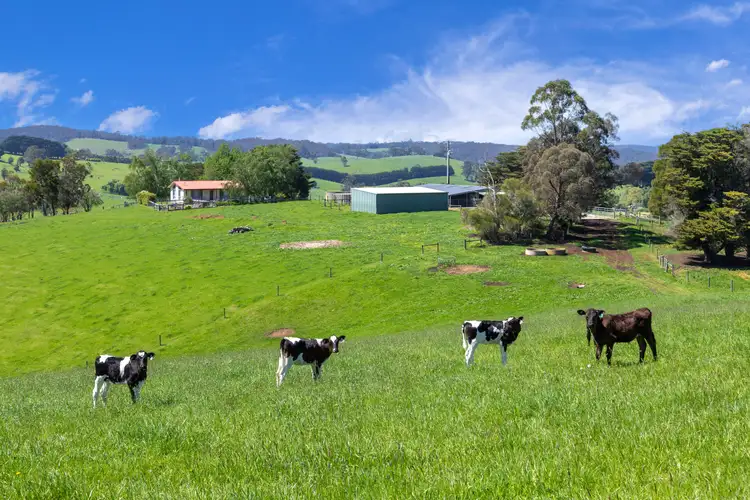 Fourth view of Homely rural property listing, 195 Sheffield Road, Neerim South VIC 3831