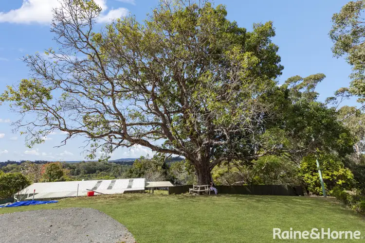 31 Crows Ash Lane, Black Mountain QLD 4563