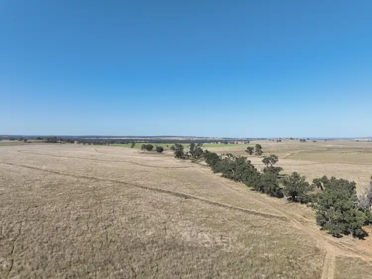 "Block Four" 465 Napier Lane