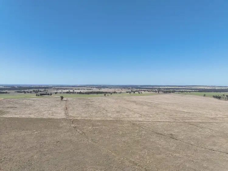 Second view of Homely rural property listing, "Block Four" 486 Napier Lane, Coonabarabran NSW 2357