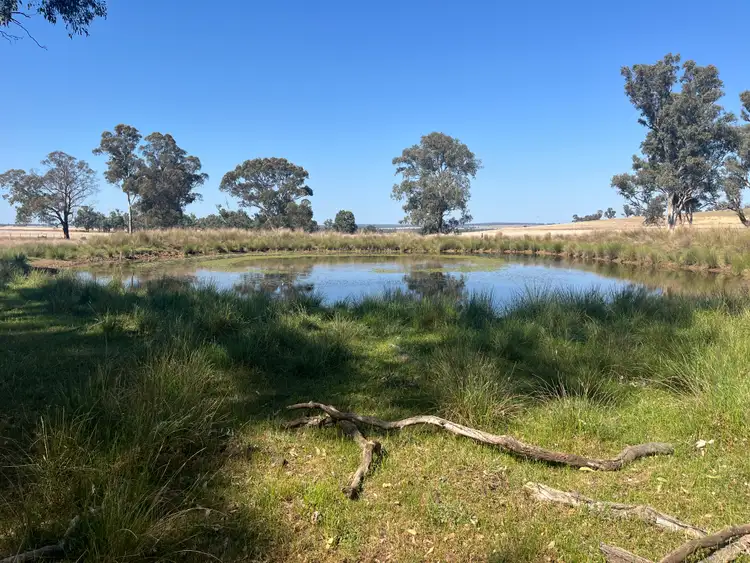 Fourth view of Homely rural property listing, "Block Four" 486 Napier Lane, Coonabarabran NSW 2357