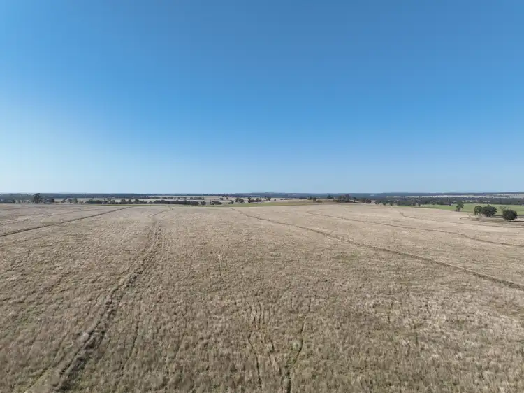 Sixth view of Homely rural property listing, "Block Four" 486 Napier Lane, Coonabarabran NSW 2357