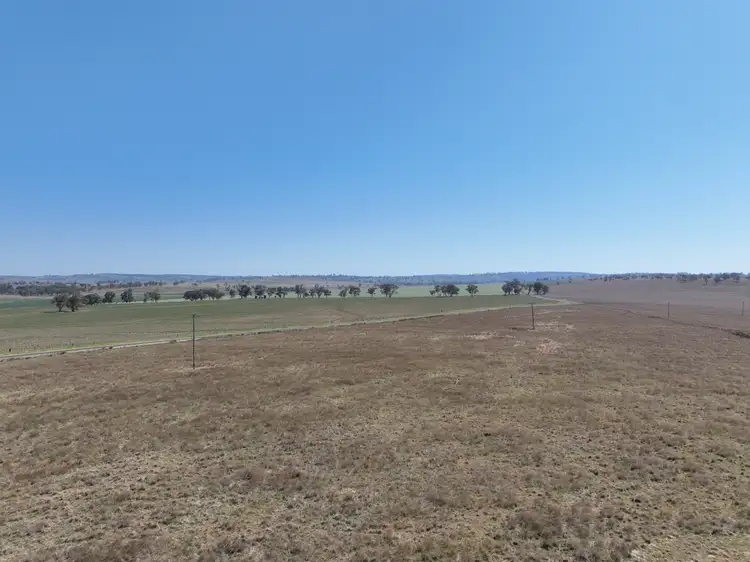 Seventh view of Homely rural property listing, "Block Four" 486 Napier Lane, Coonabarabran NSW 2357