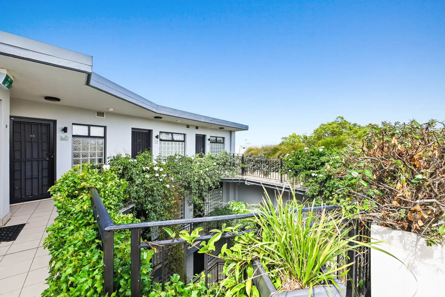 Main view of Homely studio listing, 20/12-14 Enmore Road, Newtown NSW 2042