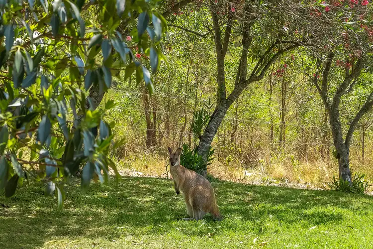 Fourth view of Homely rural property listing, 1247 Gresford Road, Vacy NSW 2421