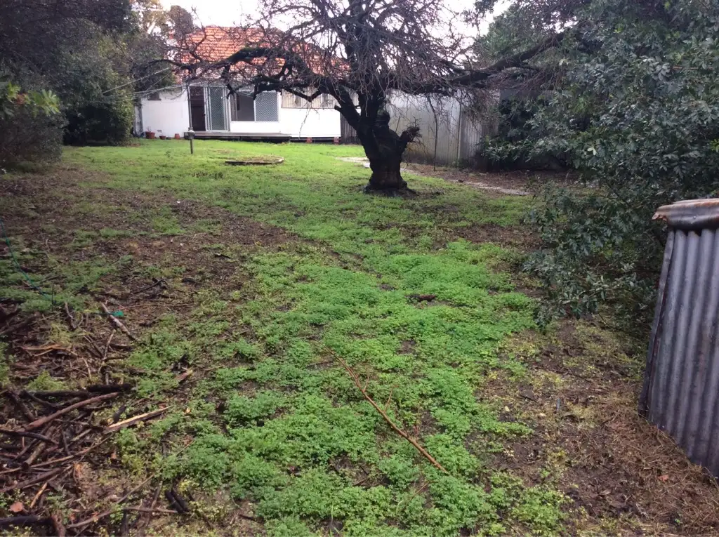 Main view of Homely house listing, 48 Simpson Street, Ardross WA 6153