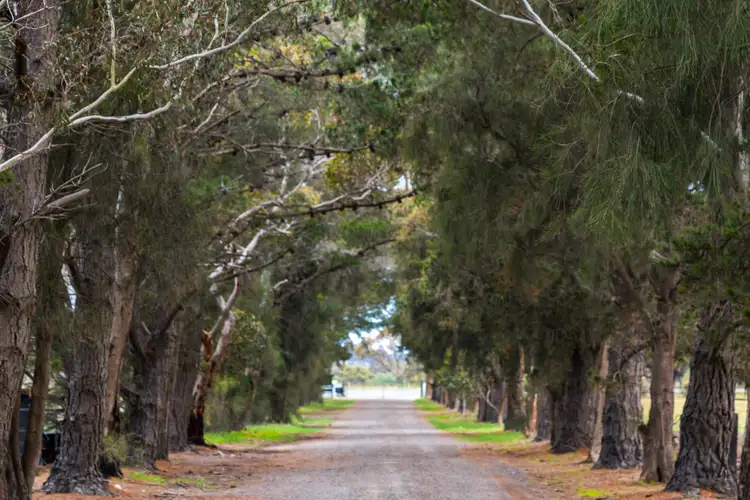 Second view of Homely rural property listing, 2249 Midland Highway, Bannockburn VIC 3331