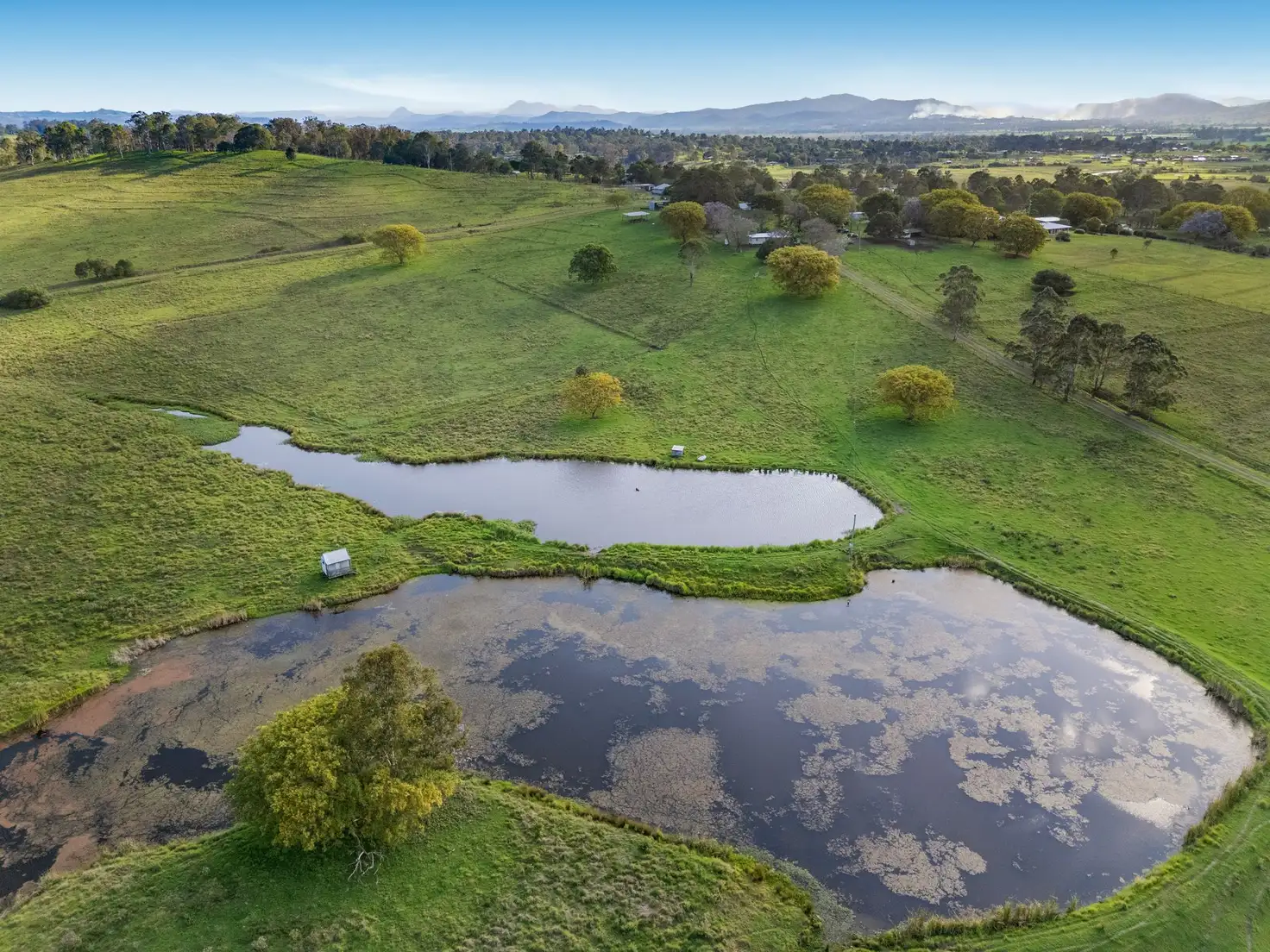 Main view of Homely rural property listing, 256 Veresdale School Scrub Road, Veresdale Scrub QLD 4285