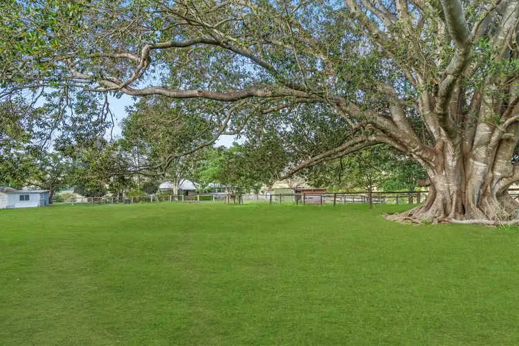 Third view of Homely rural property listing, 256 Veresdale School Scrub Road, Veresdale Scrub QLD 4285