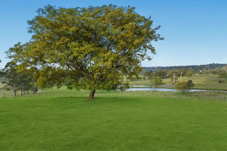 Fourth view of Homely rural property listing, 256 Veresdale School Scrub Road, Veresdale Scrub QLD 4285