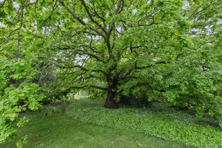 Third view of Homely house listing, 1805 Mount Macedon Road, Woodend VIC 3442